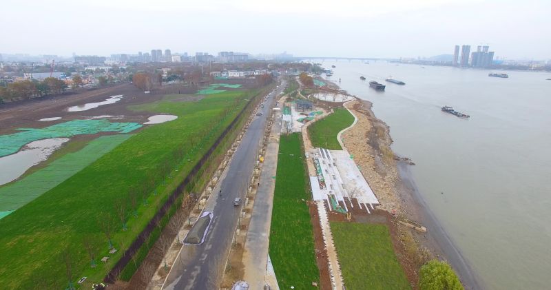 江北新區(qū)長江岸線濕地保護與環(huán)境提升一期工程監(jiān)理二標照片2.jpg